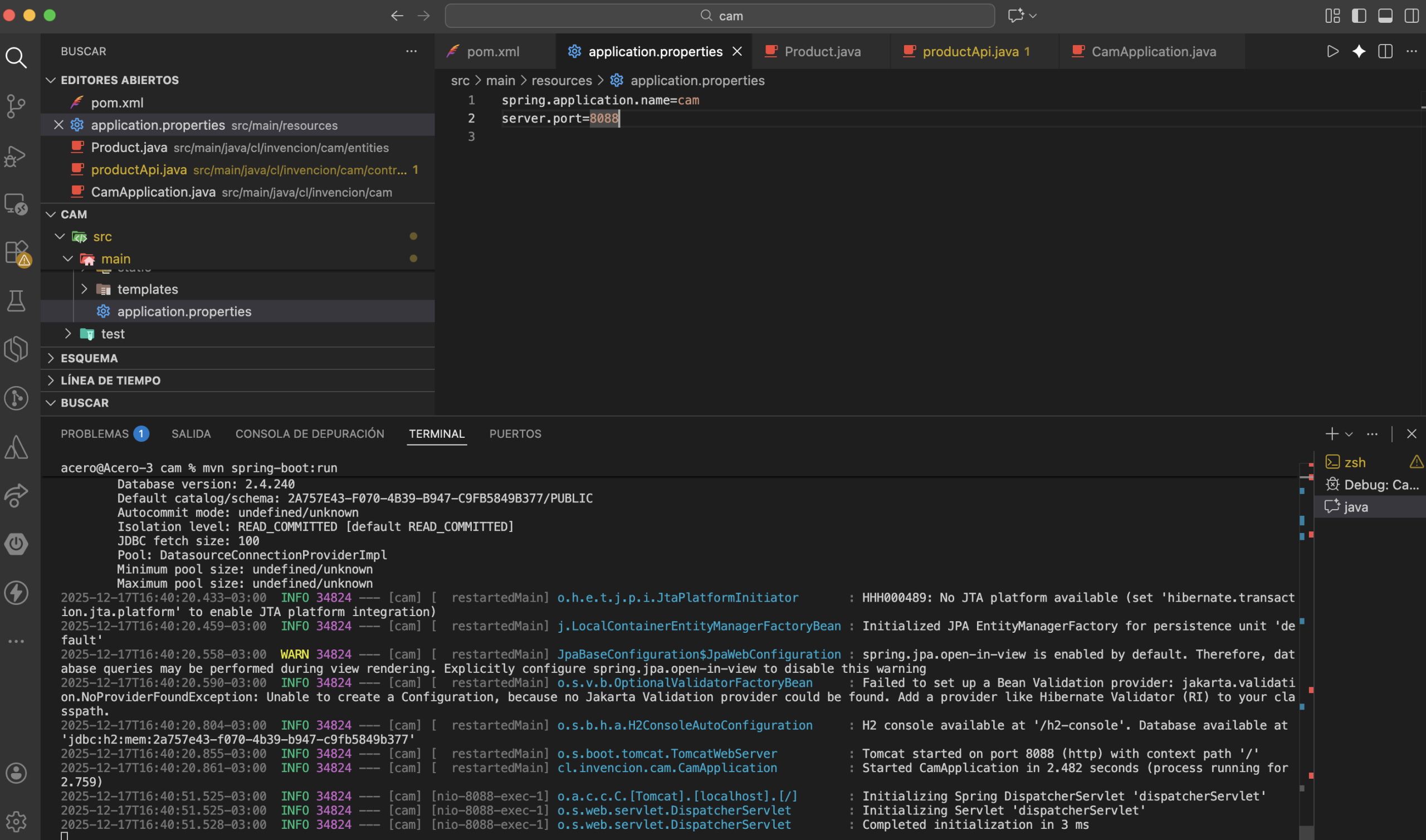 Maven y Visual studio code